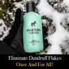 Pete & Pedro CLEAN Shampoo – Deep Cleansing Tea Tree Oil And Peppermint Daily Cleaning Haircare Shampoo For Men & Women | Helps With Dandruff & Greasy Hair | As Seen on Shark Tank, 8.5 oz.(e) Control Anti-Dandruff & Anti-Itch Shampoo)