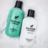 Pete & Pedro CLEAN & CONDITION SET, Tea Tree Oil Shampoo & Peppermint Cream Conditioner Haircare Kit | Deep Cleansing & Conditioning, Dandruff Repair For Men & Women | Seen on Shark Tank, 8.5 oz Each(e) Control Anti-Dandruff Shampoo & Peppermint Condition Set)