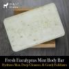 Pete & Pedro FRESH Body Soap Bar – Eucalyptus Mint Scented Natural Moisturizing Men’s Body Bar | Exfoliating Pumice & Hydrating Shea Butter | As Seen on Shark Tank, 6 oz. [Health and Beauty]