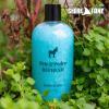 Pete & Pedro REFRESH Body Wash For Men & Women – Energizing Eucalyptus & Refreshing Rosemary Moisturizing Shower Bodywash | As Seen On Shark Tank, 12.75 oz.